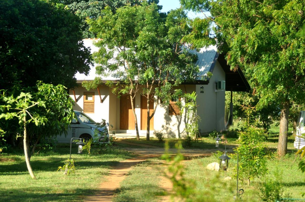 Saffron Lake Yala Tissamaharama Exterior foto